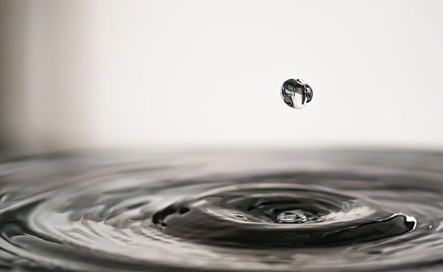 A tiny drop of water in black and white